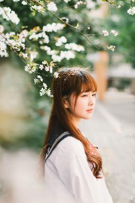 高压监狱2019满天星法版免费