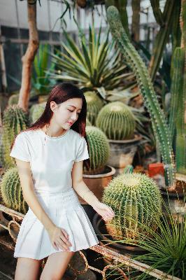 巜交换做爰2H无删减动漫